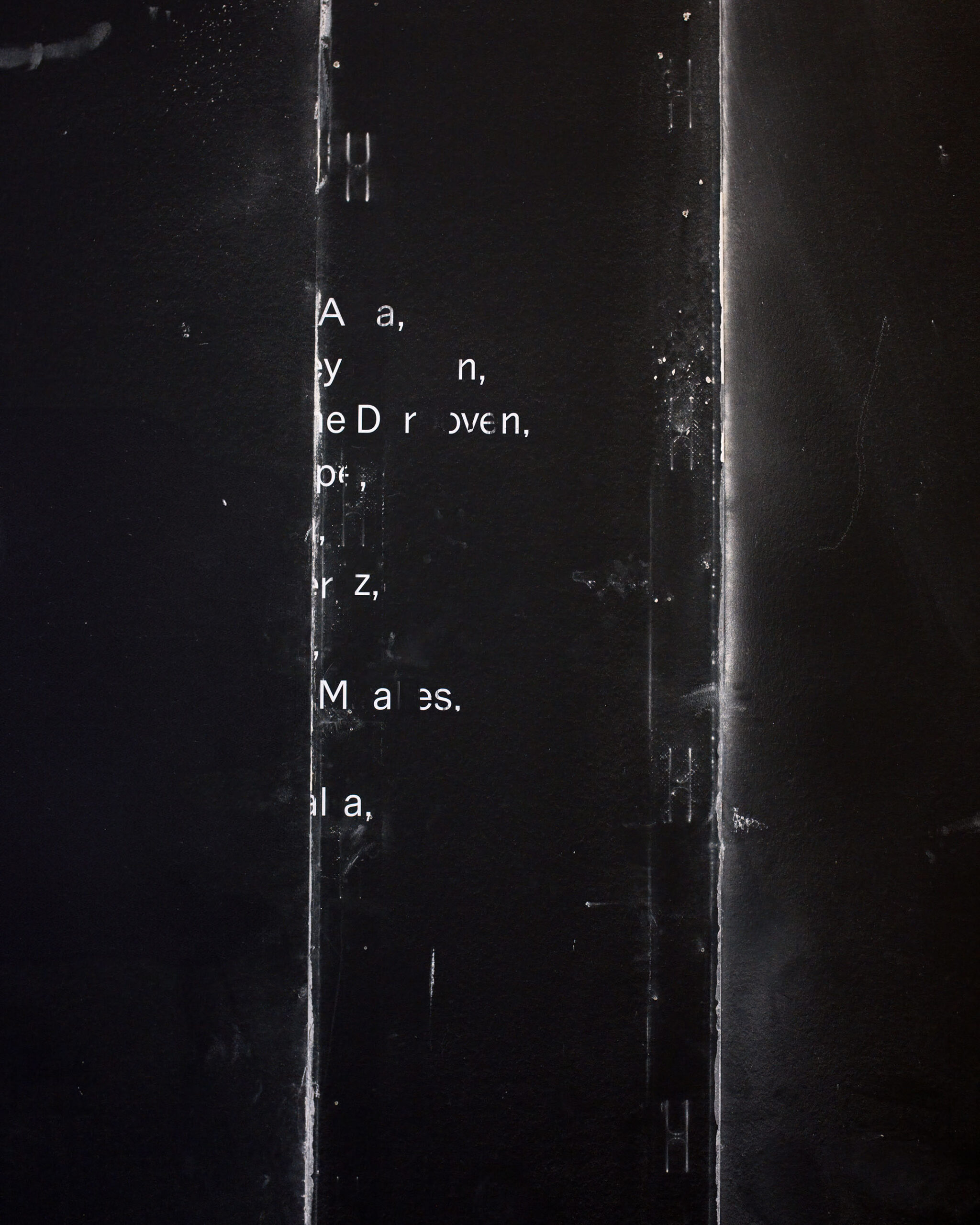Accidental Typography_web